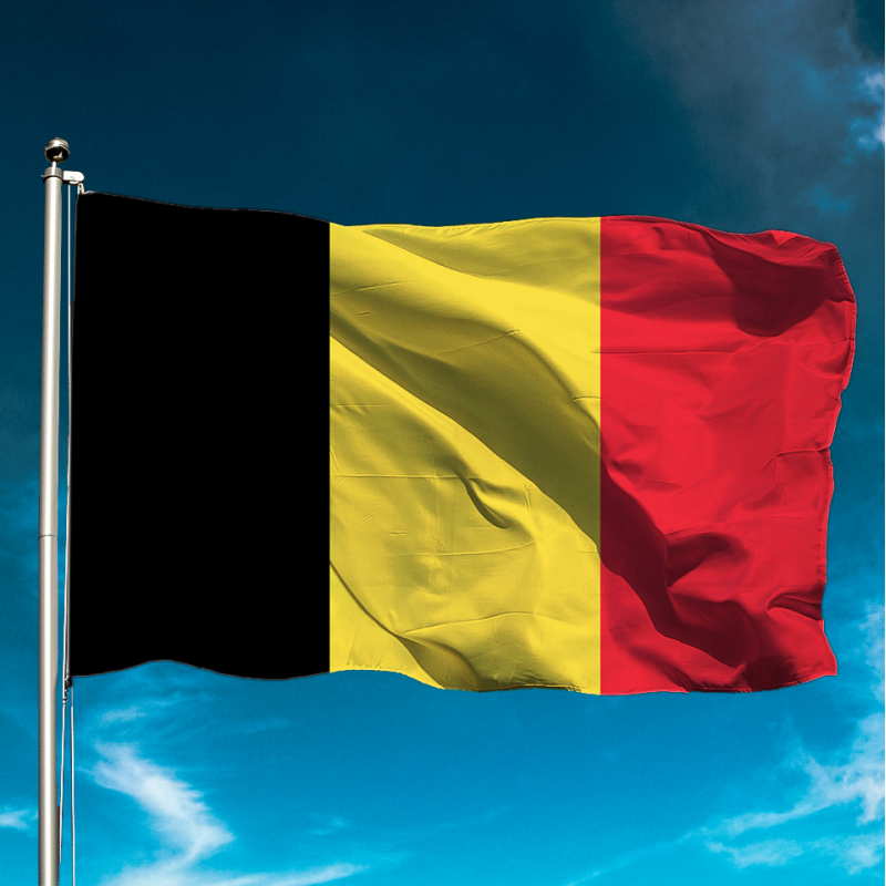 Vlag van België