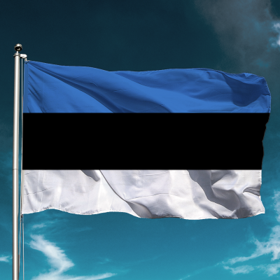 Vlag van Estland